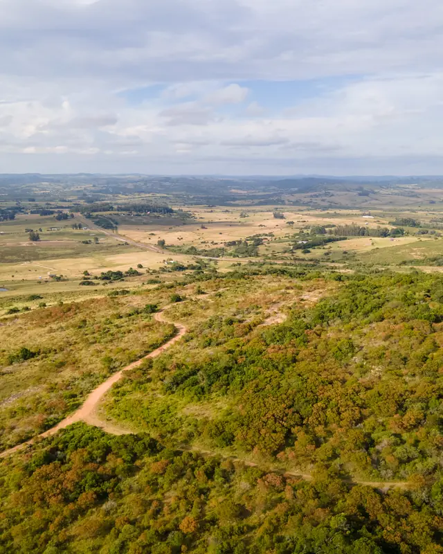 Woods, fields and roads of the Viña Edén estate from the air