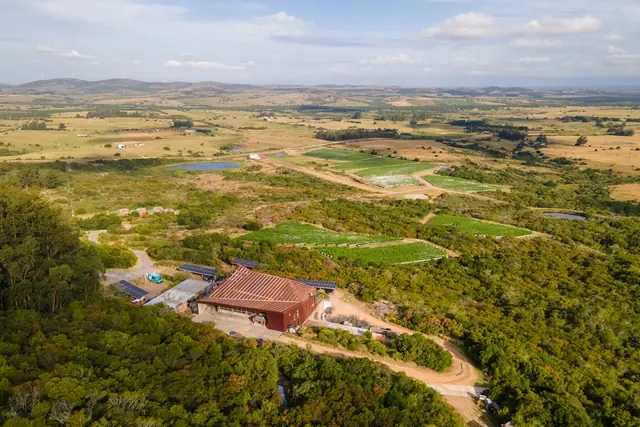 La bodega de Viña Edén entre el monte y los viñedos