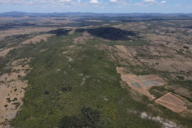 Viñedos nuevos en la ladera del predio