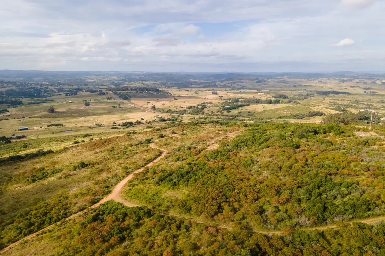 Monte, campo y caminos del predio de Viña Edén desde el aire, con las sierras de Pueblo Edén