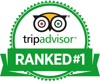 TripAdvisor — Ranked #1 in Punta del Este