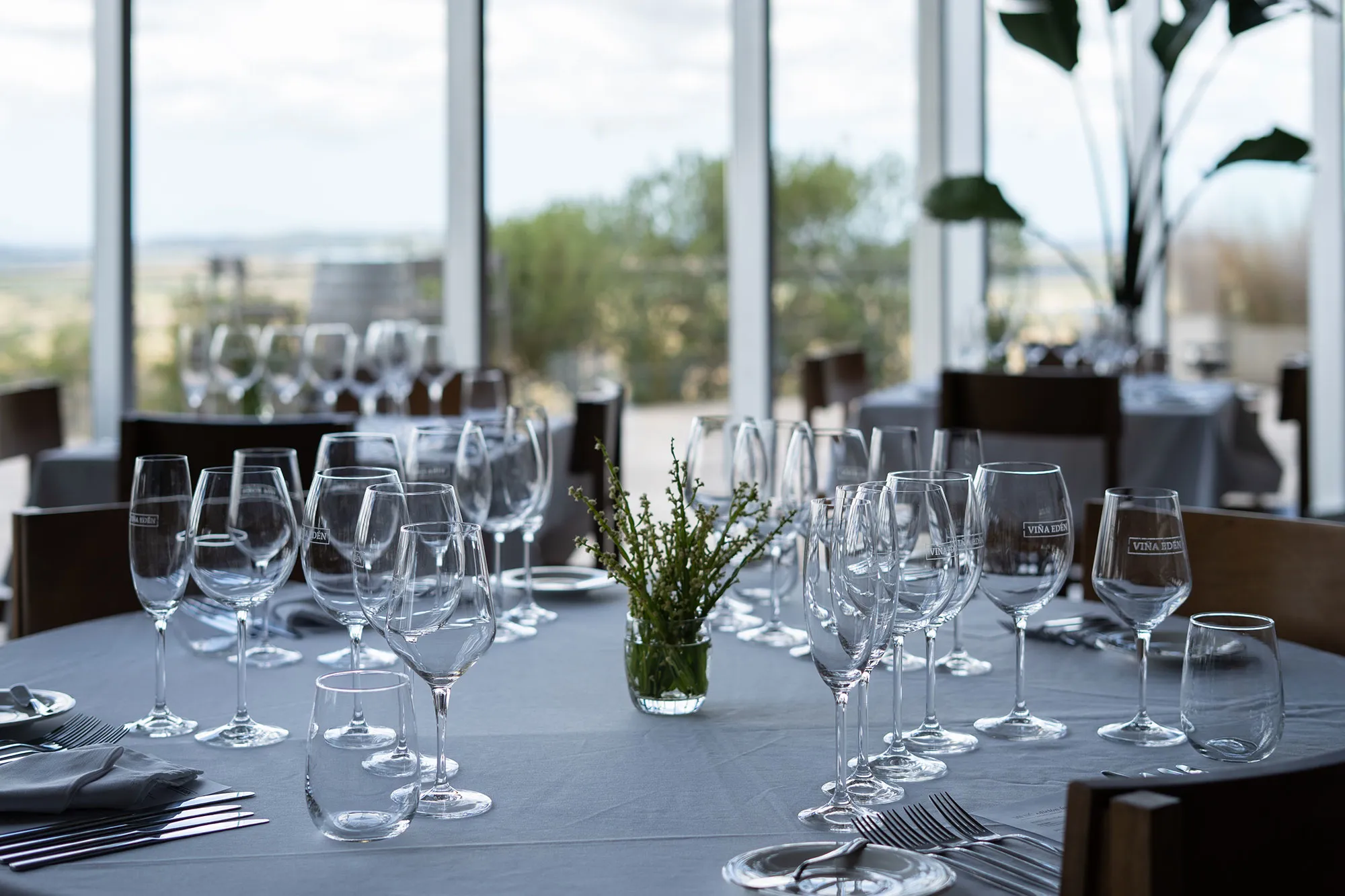 Restaurante Viña Edén