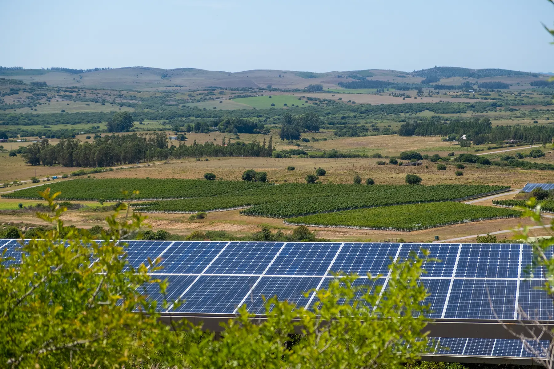 Solar panels at Viña Edén