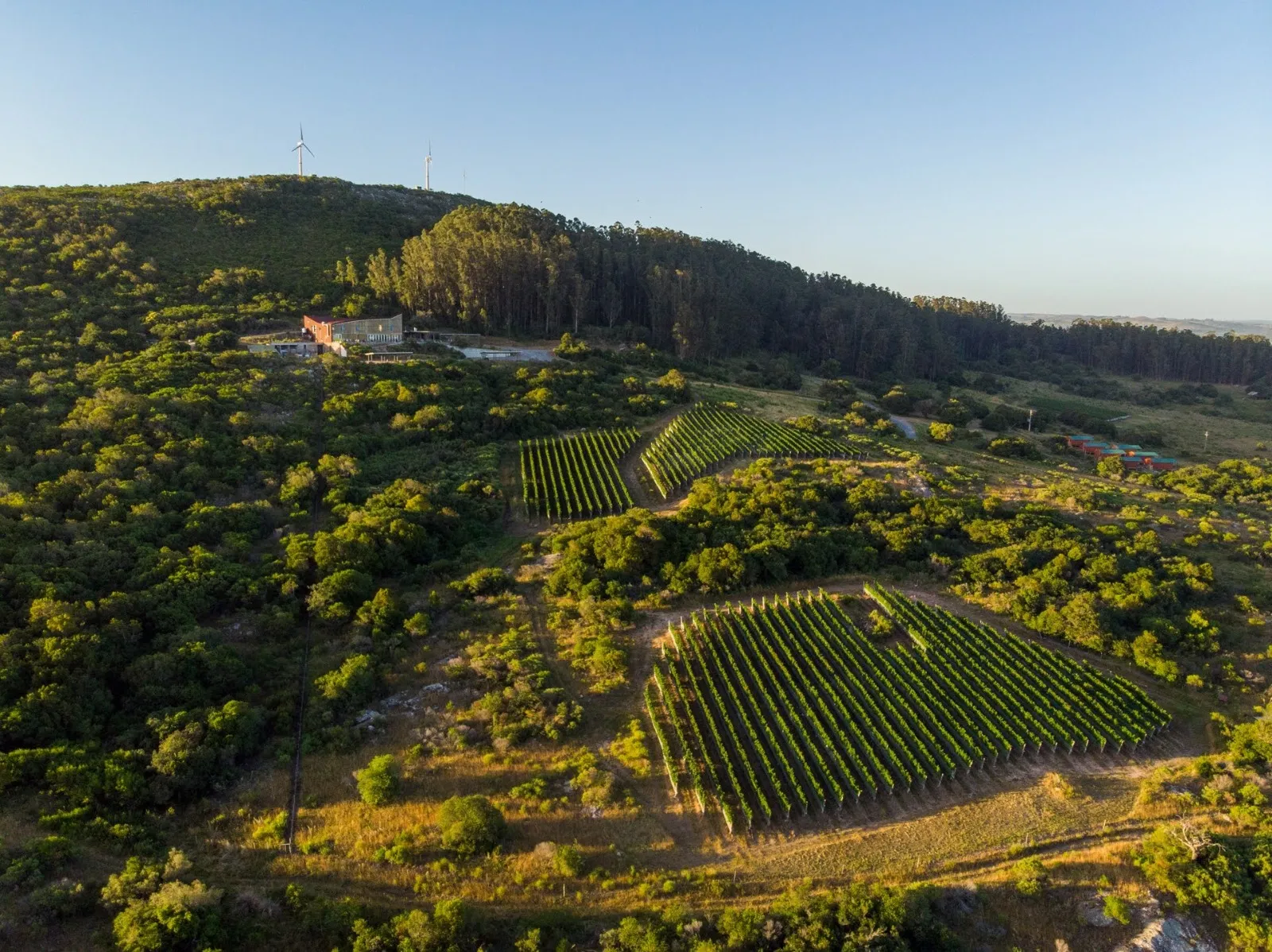 Tecnología al Servicio de la Naturaleza