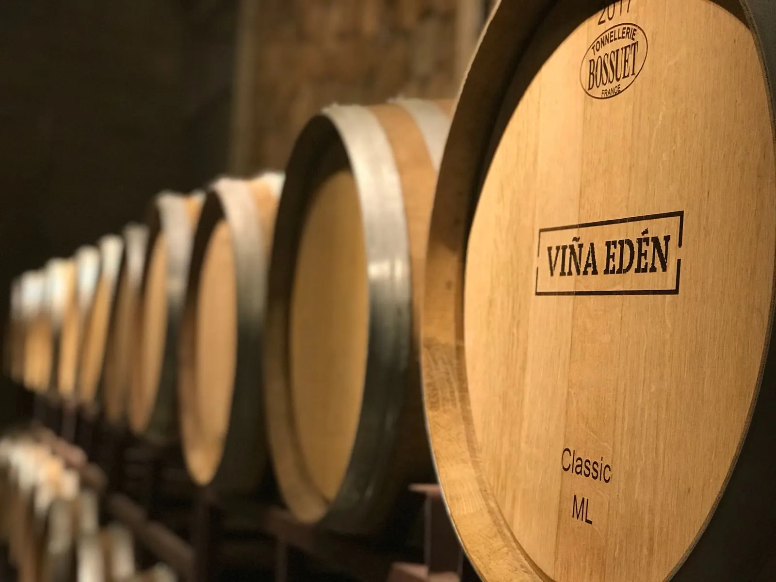 Bodega Viña Edén — Vinificación